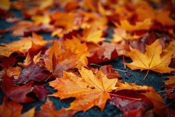 Fototapeta premium A close-up of fallen autumn leaves in shades of red, orange, and yellow. The leaves are scattered on the ground.