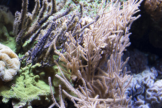 seabed