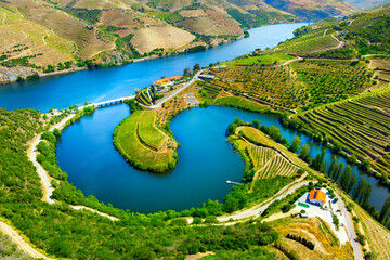 Aerial view of the terraces of the Douro Vineyards on a summer day