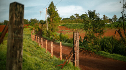 Fototapeta premium Camino en el campo
