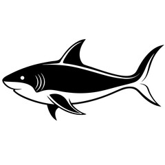 Shark. Stock Vector