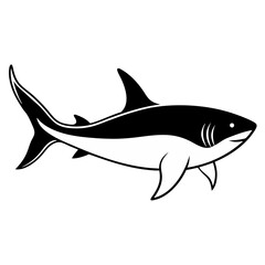 Shark. Stock Vector