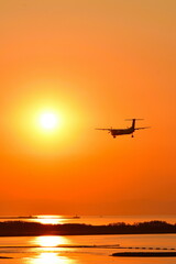 あかしあ公園から日本海と飛行機を望む（新潟県）