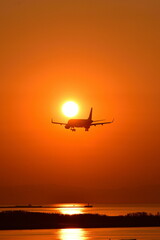 あかしあ公園から日本海と飛行機を望む（新潟県）