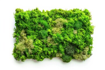 Obraz premium A close-up shot of a bundle of fresh green plants with varying shapes and textures