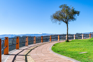 Green landscape with a tree in the middle