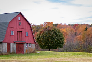 red barn in autumn © Jordan