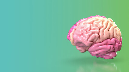 The pink brain for eduction or creative concept 3d rendering.