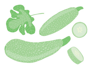 Zucchini vector flat style set