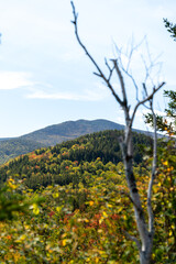 Views overlooking White Mountain National Forest during the beginning of Fall.