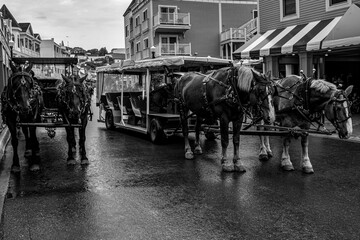 Black-and-white photograph of Mackinac Island, Michigan, featuring horses and carriages traversing the historic streets, capturing the island's timeless charm.