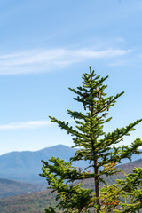 Views overlooking White Mountain National Forest during the beginning of Fall.