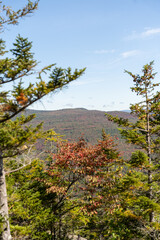 Views overlooking White Mountain National Forest during the beginning of Fall.