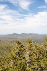 Fototapeta premium Views overlooking White Mountain National Forest during the beginning of Fall.