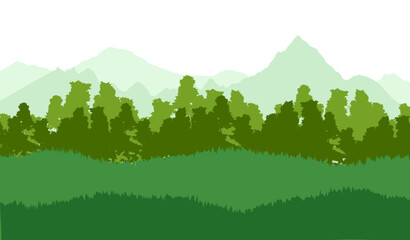 Obraz premium Spruce forest silhouette. Pine forest silhouette