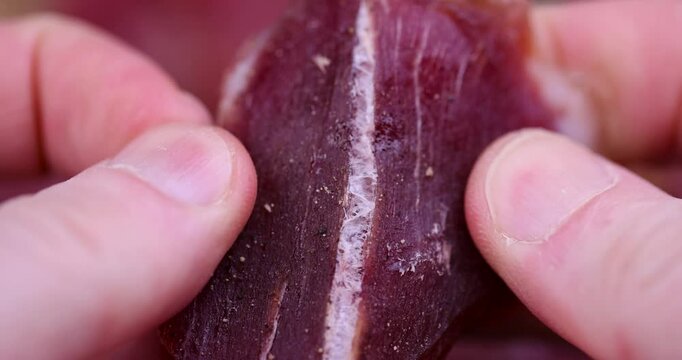 dried with spices and salt red meat, dried and dehydrated pieces of meat
