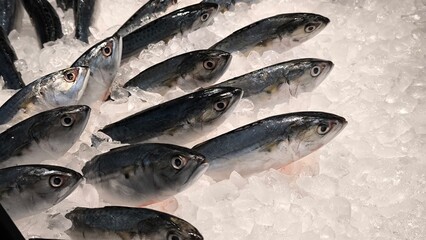 Fresh fish on ice in the shop