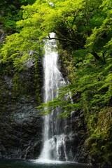 waterfall in Minoo park Osaka