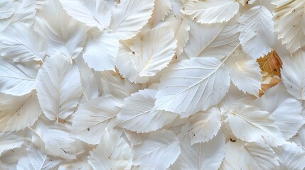 Close-up texture of leaves background