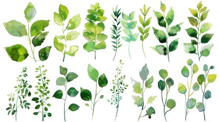 Watercolor floral set of green leaves and branches