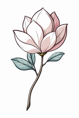 beautiful colorful illustration of magnolia flower