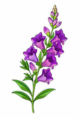 beautiful colorful illustration of snapdragon flower