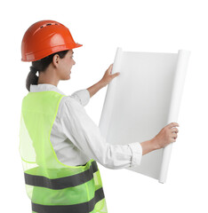 Engineer in hard hat with draft on white background