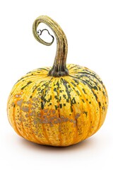 Mystic photo of Buttercup Squash pumpkin, isolated on white background