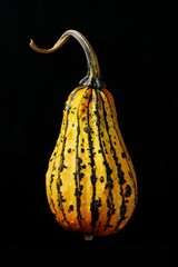 Mystic photo of Delicata Squash pumpkin, isolated on black background