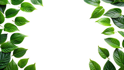 Naklejka premium Natural Green Leaves Frame on Black Background, Perfect for Eco-Friendly Product Displays and Nature-Inspired Designs