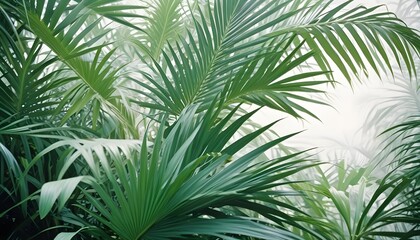 Clear Plain Shiny Soft Vintage Bokeh Cloudy Wave Like Geometric White Background or Texture