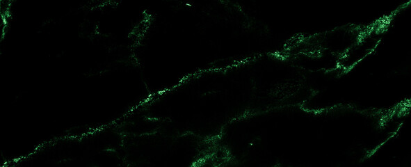 Black marble green pattern luxury texture for do ceramic kitchen light white tile background stone wall granite floor natural seamless style vintage for interior decoration and outside.

