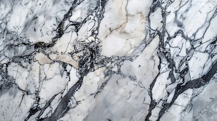 Fototapeta premium Smooth and polished marble texture with intricate veins