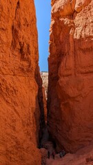 Wallstreet Bryce Canyon 