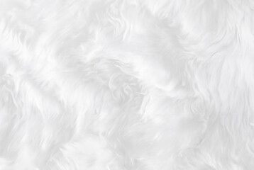 Close-Up of White Sheep Wool Texture, Top View
