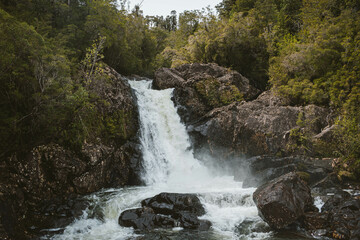 Alerce Andino Puerto Montt Chile