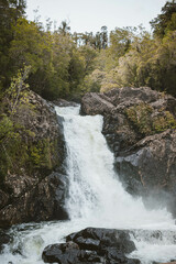 Alerce Andino Puerto Montt Chile
