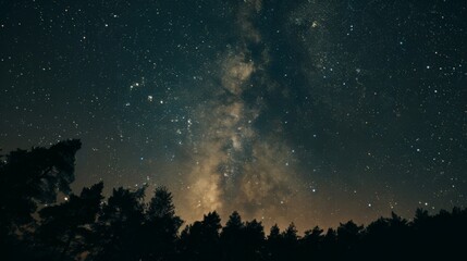 Fototapeta premium Starry night sky with a visible Milky Way