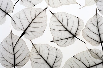 Botanical Silhouettes Intricate Pen Drawings on Cloth.jpeg
