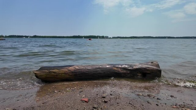 Wooden stick washed at Toronto Cherry Beach (Clarke Beach Park) 4K