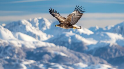 Majestic Eagle Soaring Over Snowy Mountains