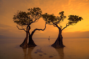 Sunset scenery at Walakiri Beach, Sumba Island, Nusa Tenggara Timur, Indonesia	