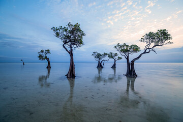 Sunset scenery at Walakiri Beach, Sumba Island, Nusa Tenggara Timur, Indonesia	