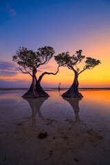 Sunset scenery at Walakiri Beach, Sumba Island, Nusa Tenggara Timur, Indonesia