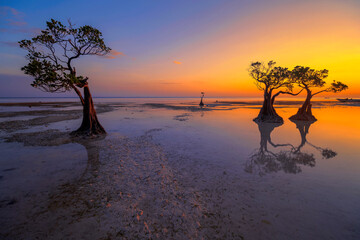 Sunset scenery at Walakiri Beach, Sumba Island, Nusa Tenggara Timur, Indonesia