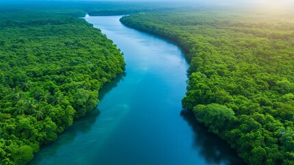 Obraz premium Aerial View of Lush Tropical River