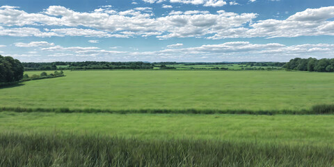 Fototapeta premium green grass field with blue skies and rolling clouds