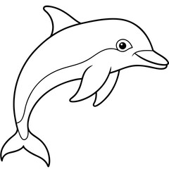 Obraz premium dolphin isolated on white