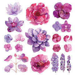 Watercolor Floral Elements, Pink and Purple Flowers