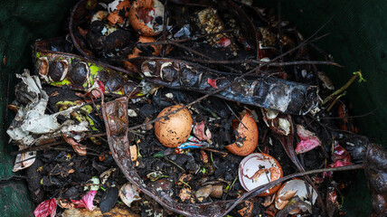 A close-up of a compost bin filled with a variety of organic materials, including eggshells, leaves, and twigs. Nature Process of composting for sustainable gardening and waste reduction.